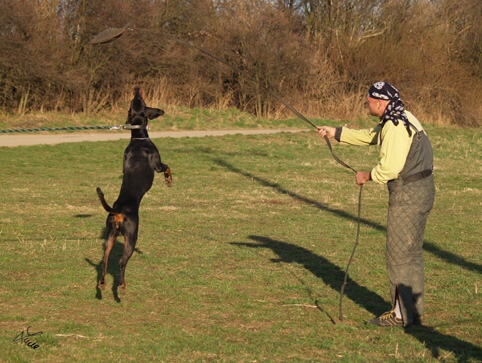 Training in Prague 3/2007